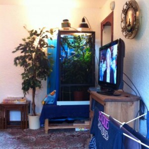 Enclosure