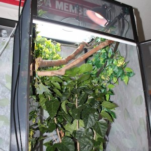 Sterling Malory Archer