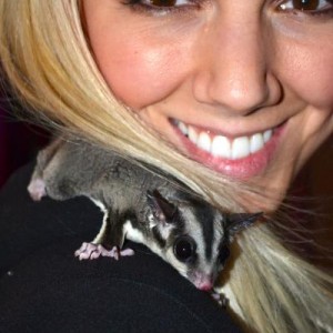 Snookie the Sugar Glider