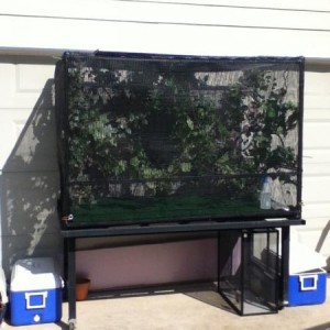 ChameleonTV Cribs!
