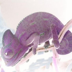 Little squirt!!!!
