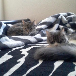 my babies