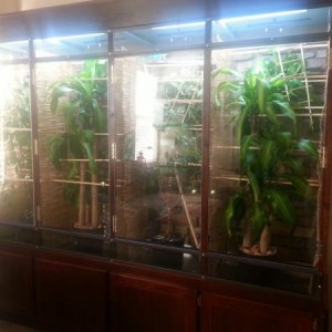 New cage
