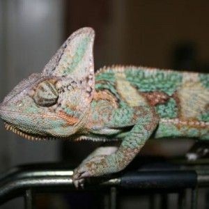 Omar SO stinkin" cute!