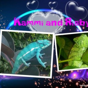 My Babies
