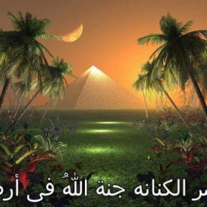 شركة تنظيف فلل ب&#1580