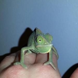 my pretty girl....Crayola