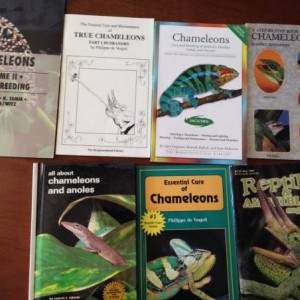 Cham books