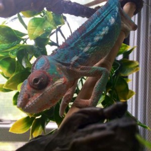 Marley!