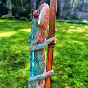 Outside playtime!