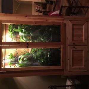Custom cage