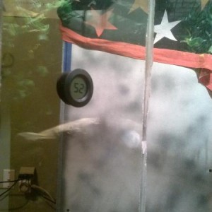 temporary tank