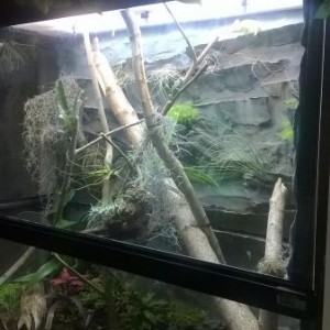 First Vivarium