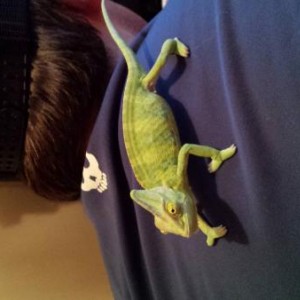 Dude my male veiled