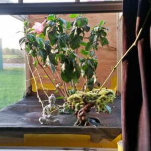 Enclosures