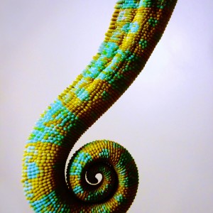 Member Album by Hyokenseisou