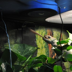 Member Album by suncei