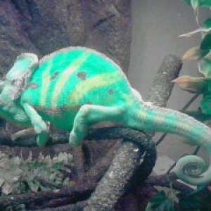 Member Album by ericcham