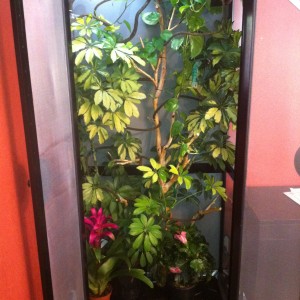 Member Album by crosstheway