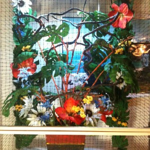 Member Album by vinnnnnny