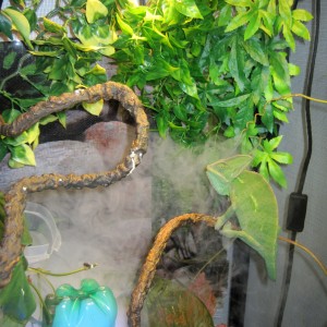 Member Album by Leezochka