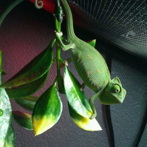 Member Album by jaredshermanderson