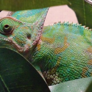 Member Album by Ryan1976