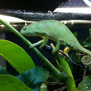 Member Album by MD19