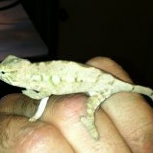 Member Album by davers776