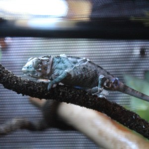 Member Album by sterling archer