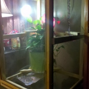 Member Album by mdeival