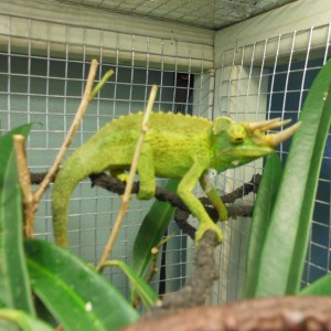 Member Album by kayla7anne