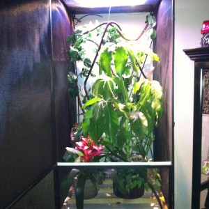 Member Album by spencer451