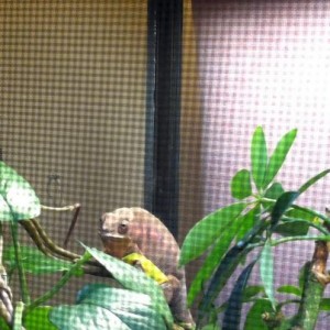 Member Album by lilly509