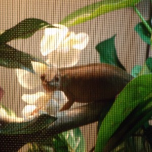 Member Album by ruffcuts