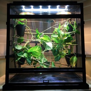 Enclosures