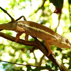 MADAGASCAR 2015