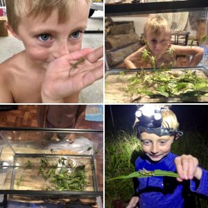 Wild Louisiana feeders