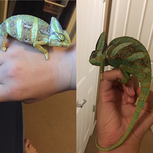 1st day I got him to now