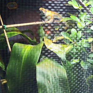 Hidden Enclosures