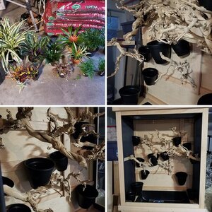 Raistlin's Enclosure 2.0