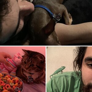 Animal Children