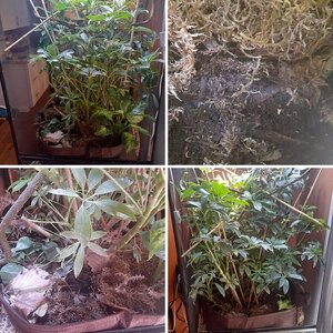 Enclosure
