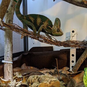 Enclosure