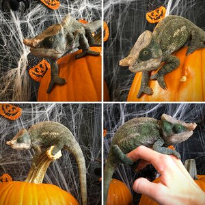 Happy Halloween!