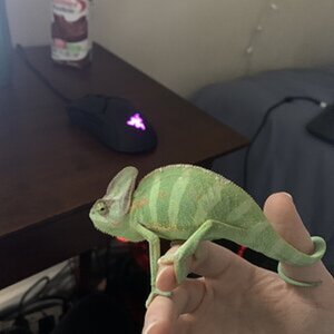 Gary