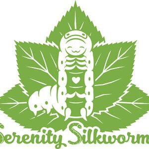 Silkworm pictures by Serenity Silkworms