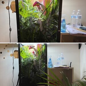 Thoughts on my enclosure?