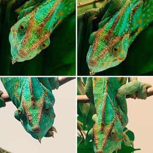 Gamora, my lovely lady. ❤️