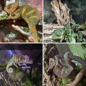 Rango’s Best! 📸👀